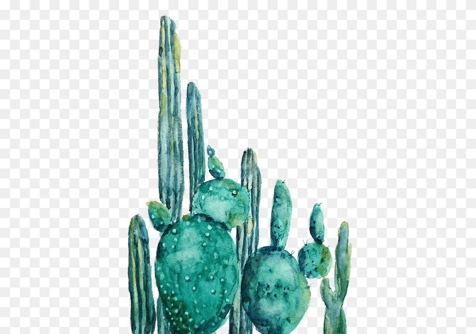 Cactus Watercolor 1 Shower Curtain For Cactus Watercolor Painting, Plant, Nature, Outdoors, Snow Png Image
