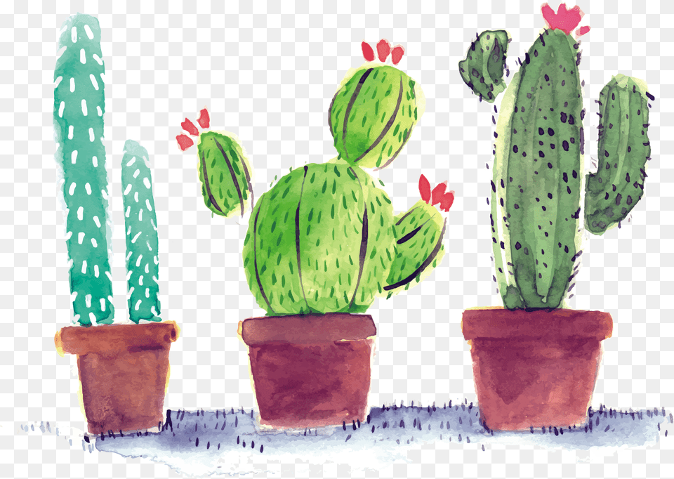 Cactus Watercolor Background Cactus Cute Clipart, Plant Free Transparent Png