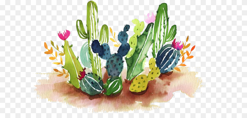 Cactus Watercolour, Plant Png Image