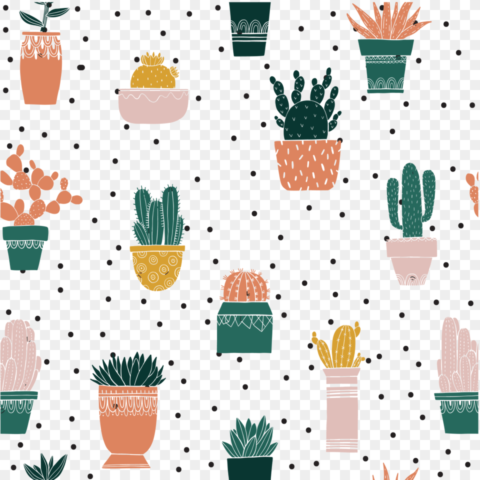 Cactus Y Suculentas Dibujo, Potted Plant, Plant, Pottery, Clothing Png