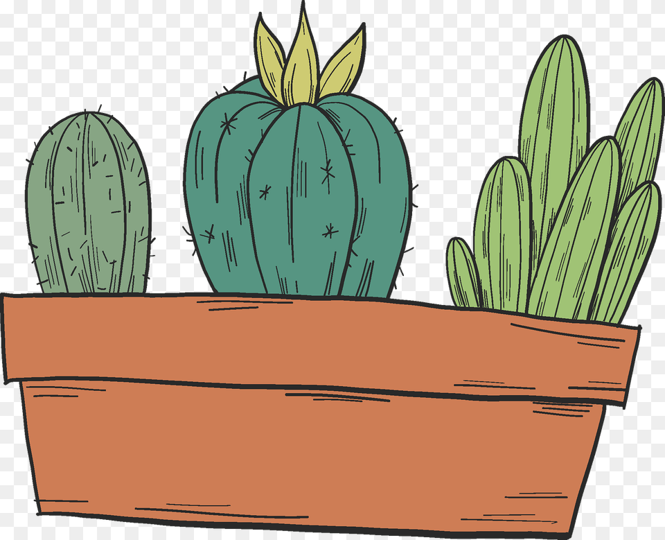 Cactuses In A Pot Clipart, Jar, Plant, Planter, Potted Plant Png