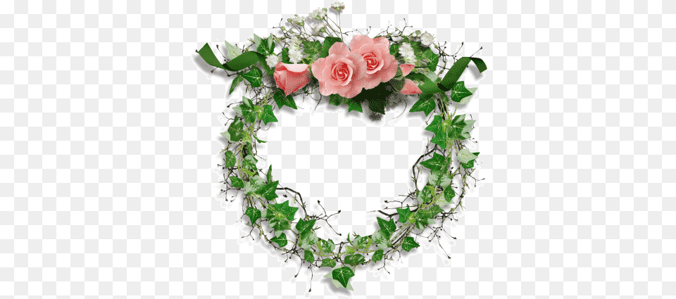 Cada Mujer Ama Agradables Sorpresas En Forma De Flores Green Roses Frame, Flower, Plant, Rose, Flower Arrangement Png