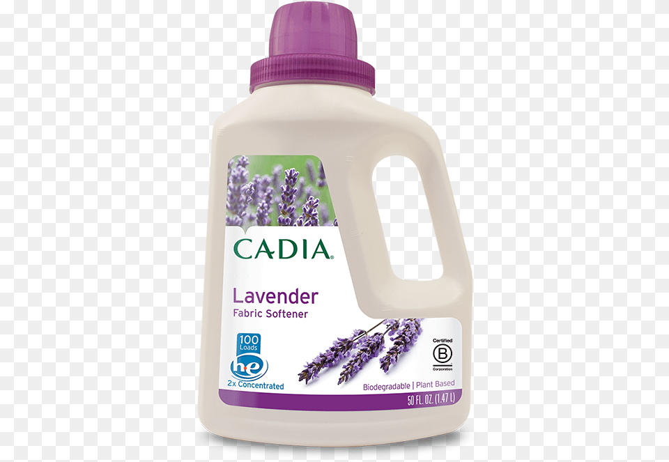 Cadia 2025, Flower, Herbal, Herbs, Plant Free Transparent Png