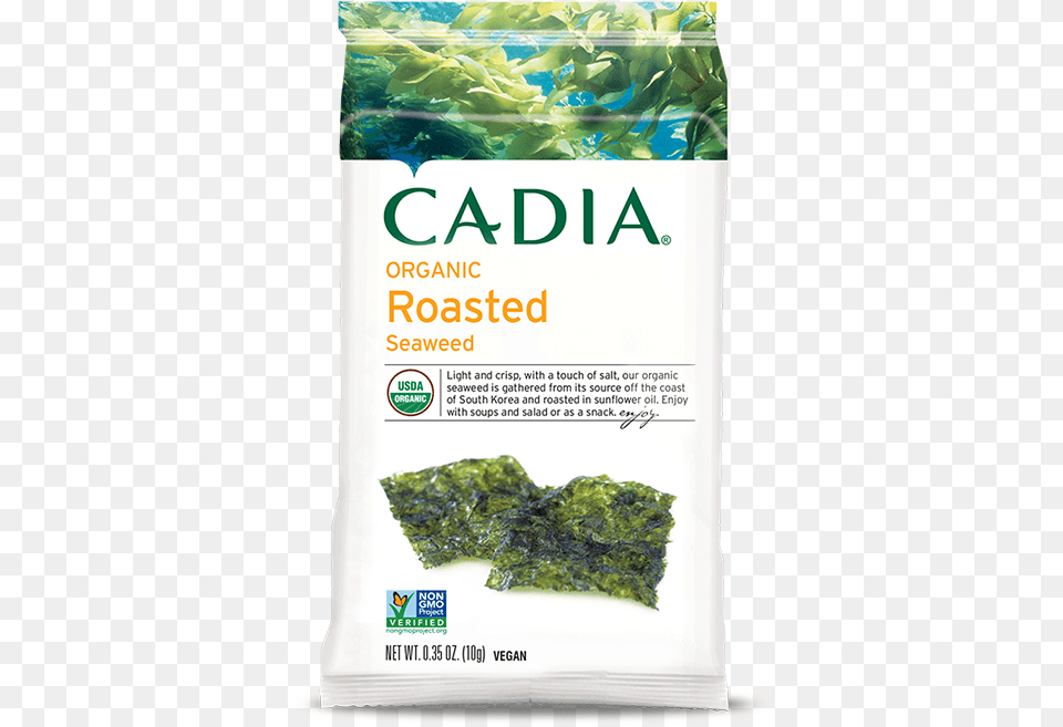 Cadia Seaweed Png Image