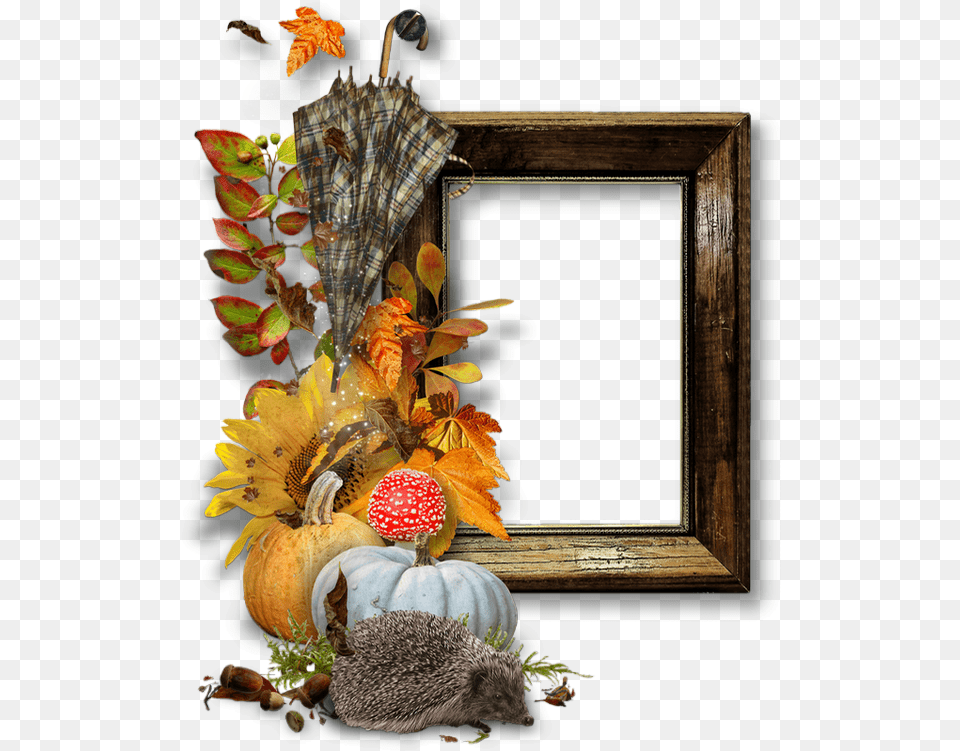 Cadre Automne Cluster Fall Autumn Frame Blog, Flower, Flower Arrangement, Plant, Flower Bouquet Free Transparent Png