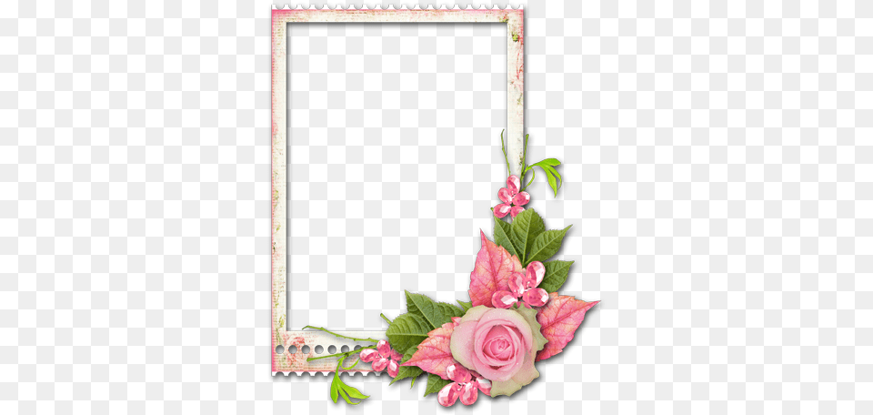 Cadre Avec Fleurs Cadres Fleur Transparent, Flower, Plant, Rose, Flower Arrangement Png