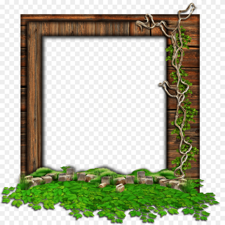 Cadre Nature, Plant, Vine, Vegetation, Ivy Free Png