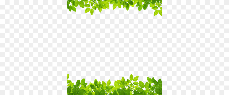 Cadre Nature Green Leaves Border Transparent Background, Herbal, Herbs, Leaf, Plant Free Png Download