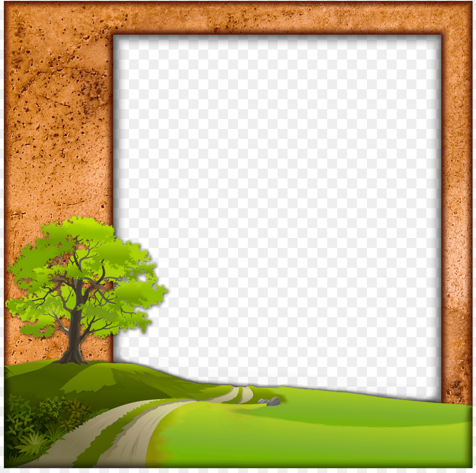 Cadre Nature Picture Frame, Tree Trunk, Tree, Sycamore, Oak Png