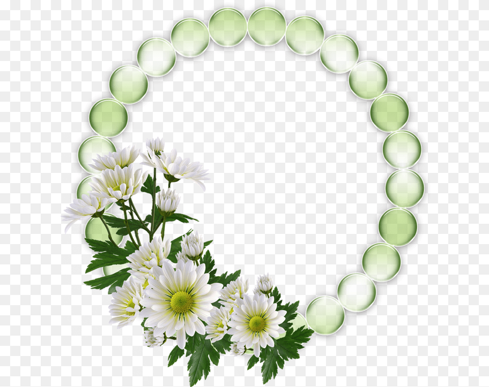 Cadre Photo Avec Fleur Rond, Daisy, Flower, Green, Plant Free Png Download