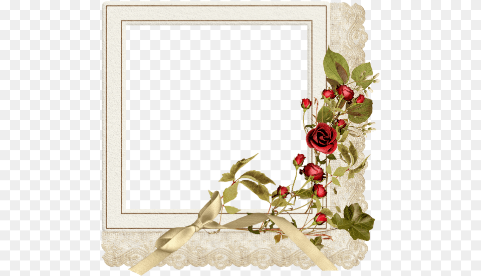 Cadre Photo Famille, Flower, Flower Arrangement, Plant, Rose Png