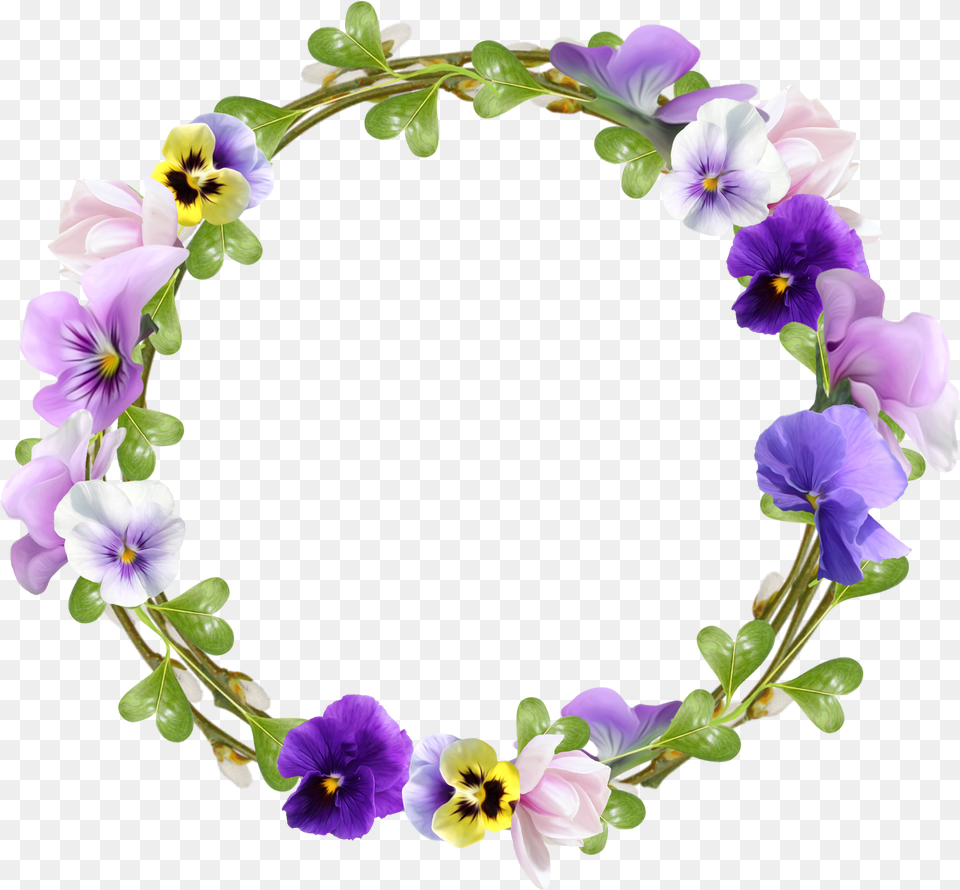 Cadre Photo Fleurs Rond, Flower, Plant, Purple, Anemone Png Image