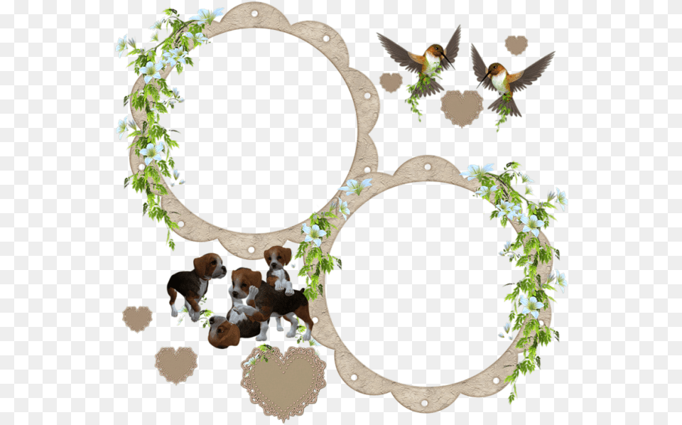 Cadre Picture Frame, Animal, Bird, Canine, Dog Png