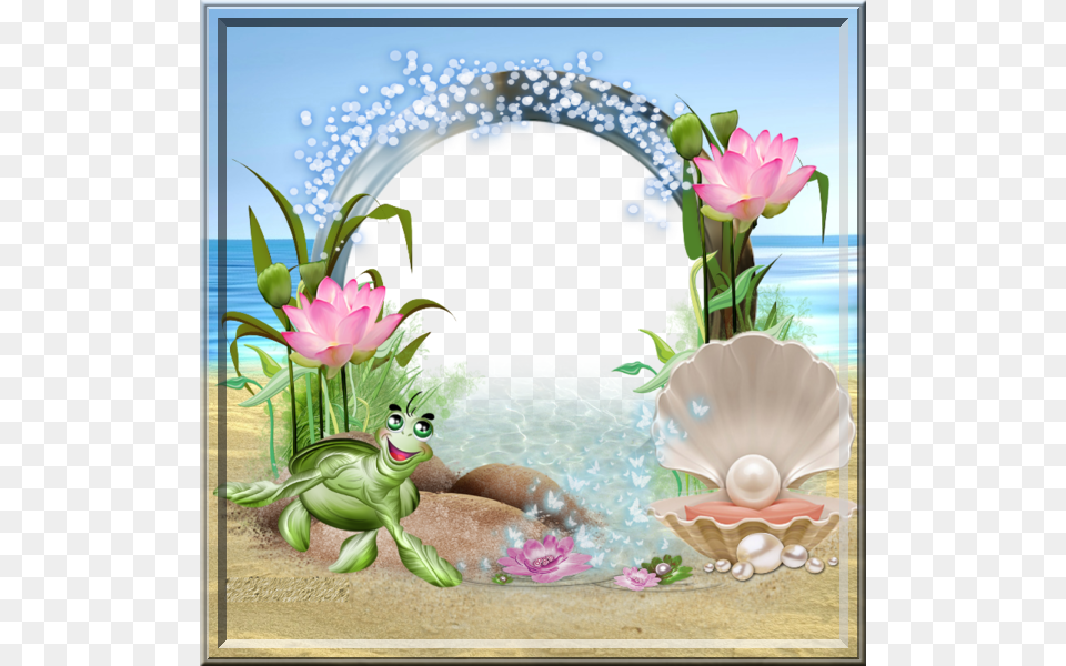 Cadre Pour Photo Ete, Animal, Sea Life, Invertebrate, Seashell Png Image