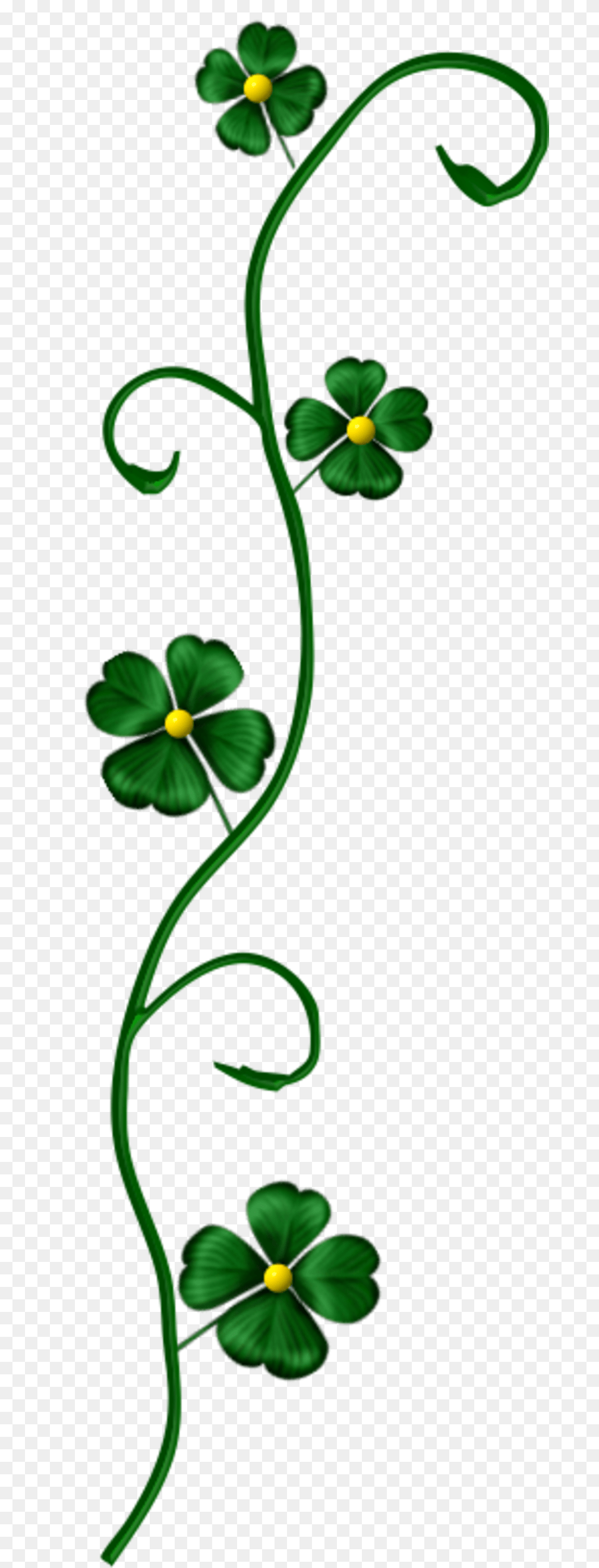 Cadre Saint Patricks Day, Art, Floral Design, Graphics, Green Png Image