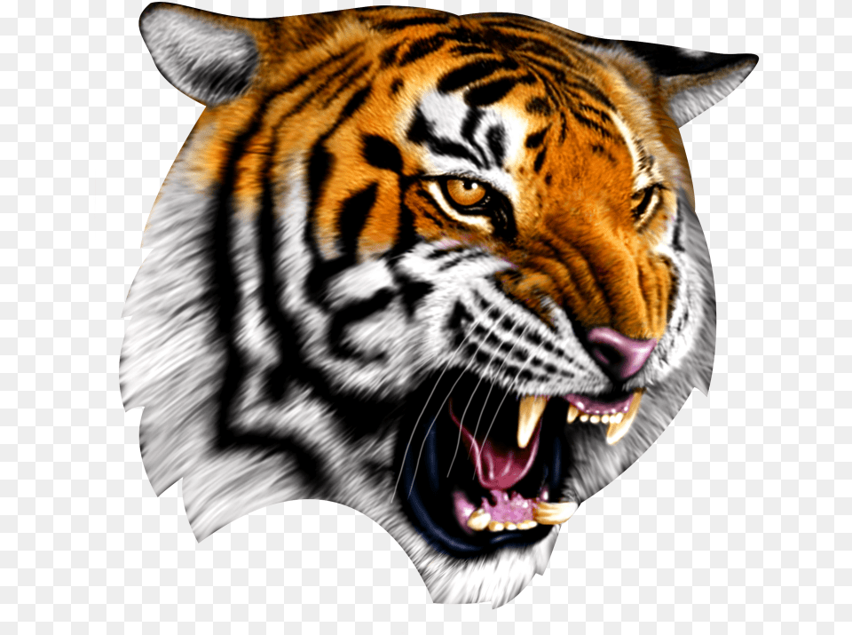 Cadworxlive Gives You Access To Quality Peices Confederate Flag With Tiger, Animal, Mammal, Wildlife Free Png