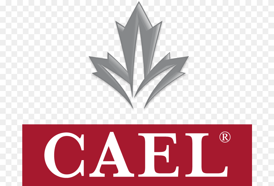 Cael Assessment Test Takers Preparation Guide, Logo, Symbol, Blade, Dagger Free Transparent Png