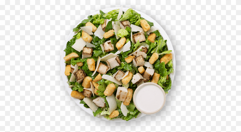 Caesar Salad, Food, Meal, Food Presentation, Lunch Png