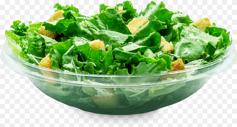 Caesar Salad, Food, Lettuce, Plant, Produce Free Transparent Png