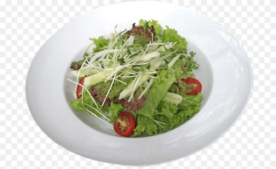 Caesar Salad, Food, Food Presentation, Plate, Meal Free Png Download