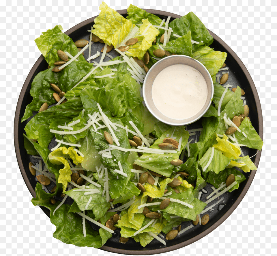 Caesar Salad, Food, Food Presentation, Plate, Lunch Png Image