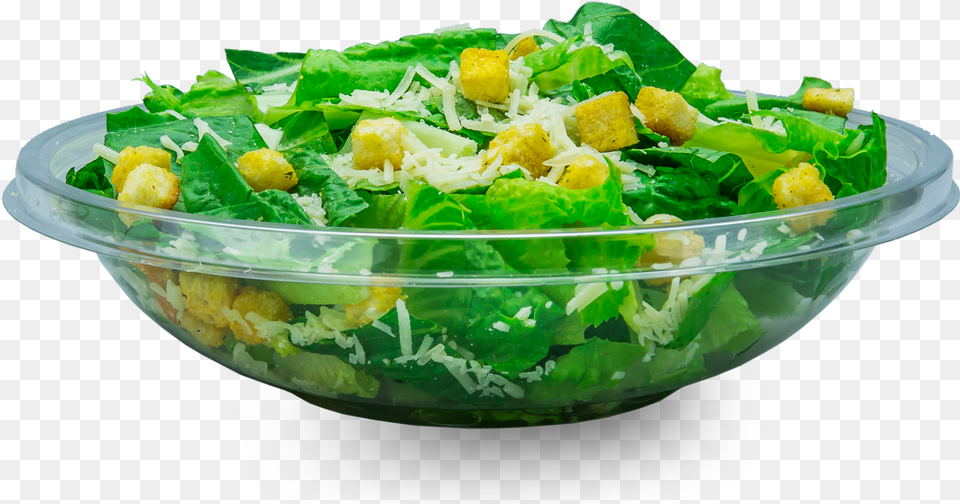 Caesar Salad Salad, Food, Food Presentation, Bowl, Plate Png
