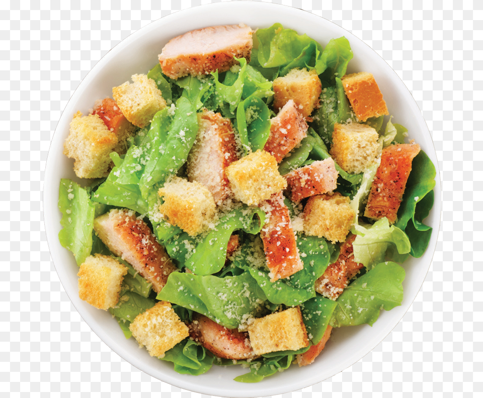 Caesar Salad Sq Caesar Salad, Plate, Food Free Transparent Png