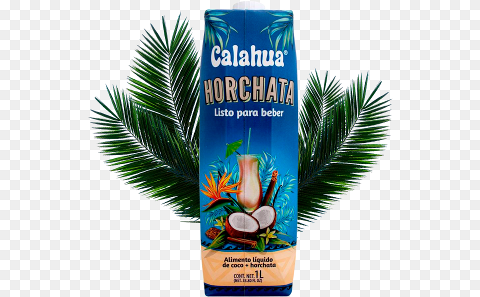 Caf Y Horchata Vacation, Herbal, Herbs, Plant, Food Png Image