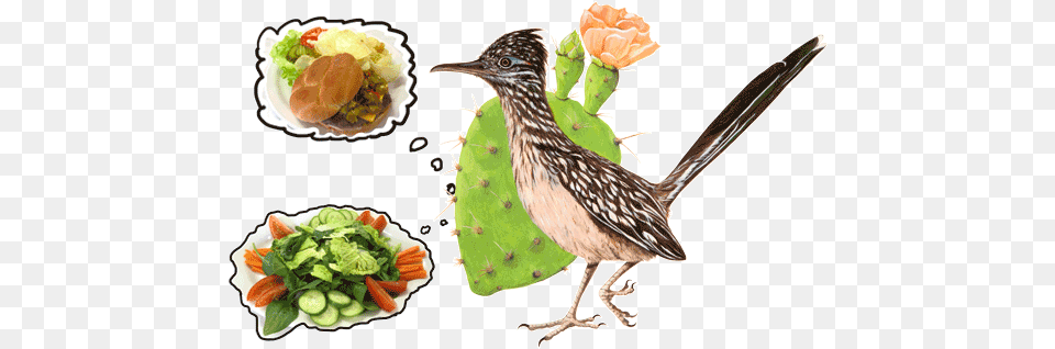 Cafe New Mexico Dreaming On The Burger Roadrunner Clipart, Food, Lunch, Meal, Animal Png