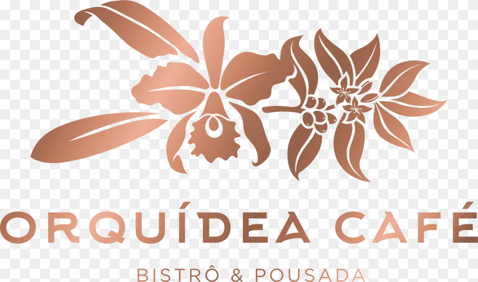 Cafe Orquidea, Art, Floral Design, Graphics, Pattern Free Png