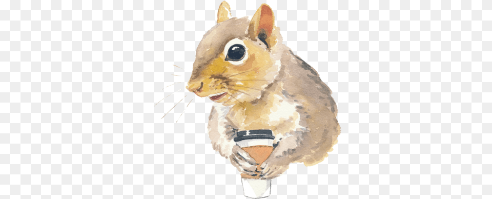 Caffeine Addict Watercolor Painting, Animal, Mammal, Rodent, Squirrel Free Transparent Png