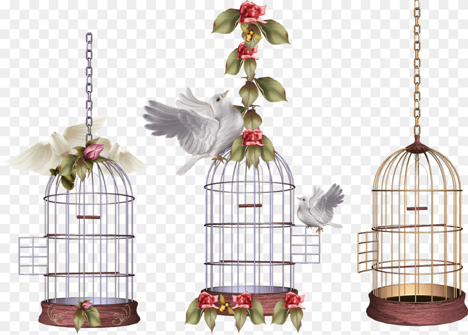 Cage, Animal, Bird, Chandelier, Lamp Png Image