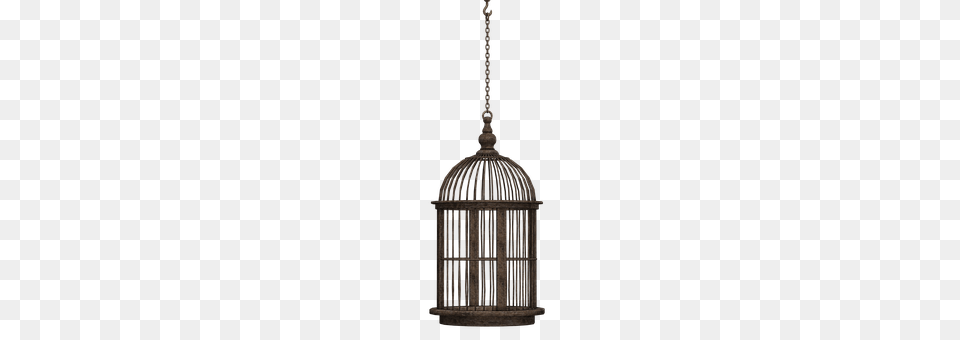 Cage Lamp, Chandelier Free Png
