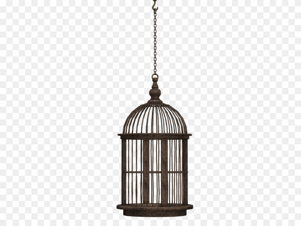 Cage, Lamp, Chandelier, Architecture, Building Free Png Download