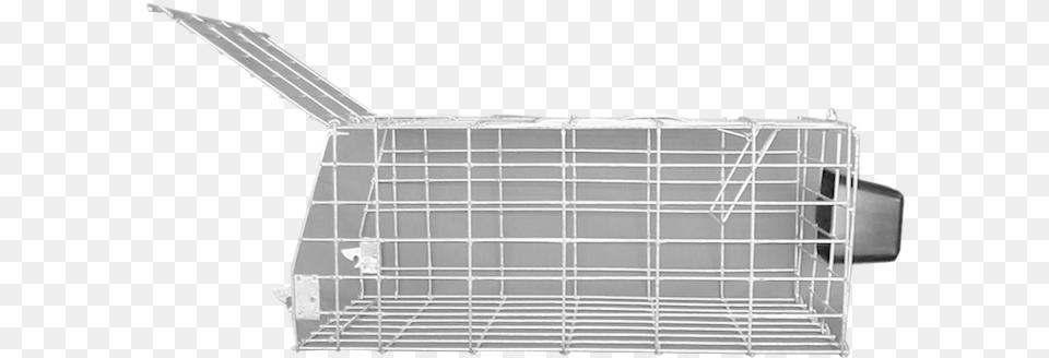 Cage Free Transparent Png