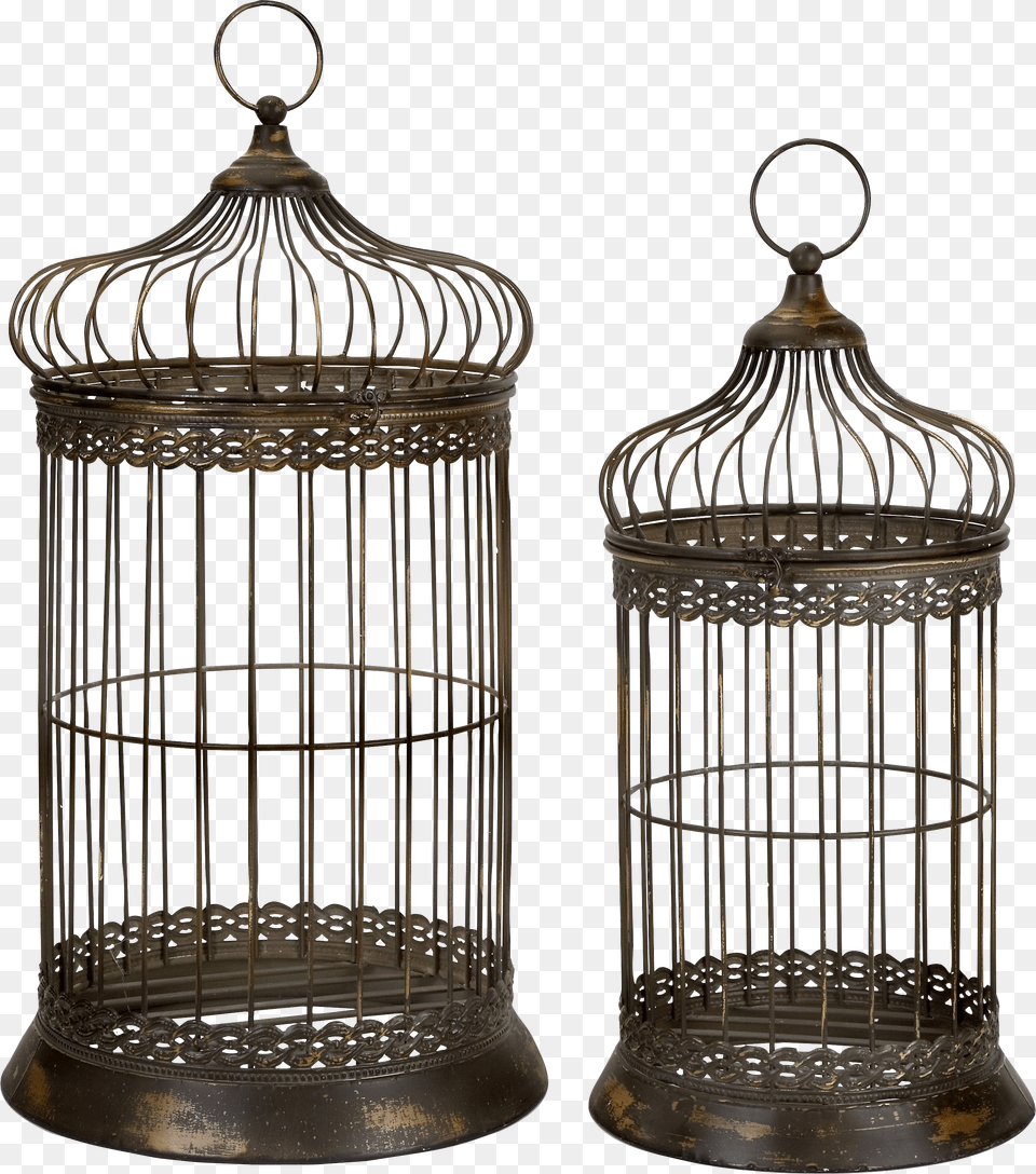 Cage Free Transparent Png