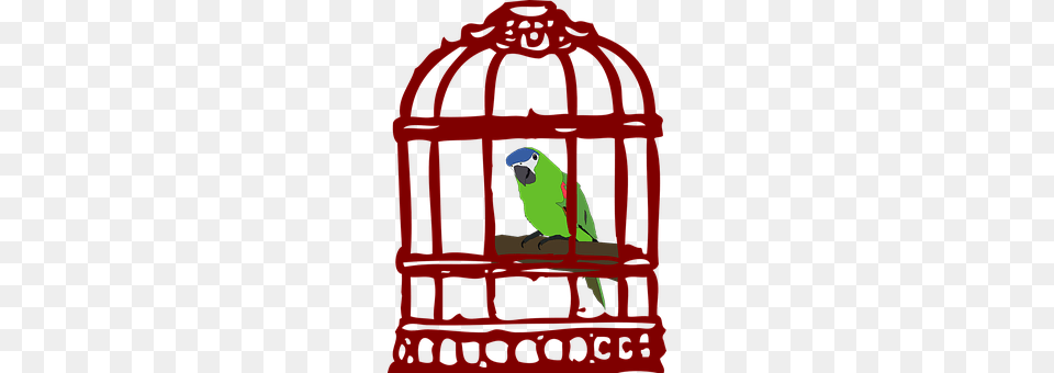 Cage Animal, Bird, Parakeet, Parrot Png