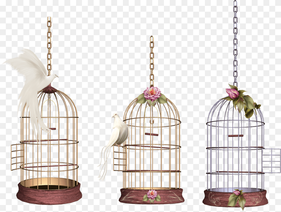 Cage, Chandelier, Lamp Free Png Download