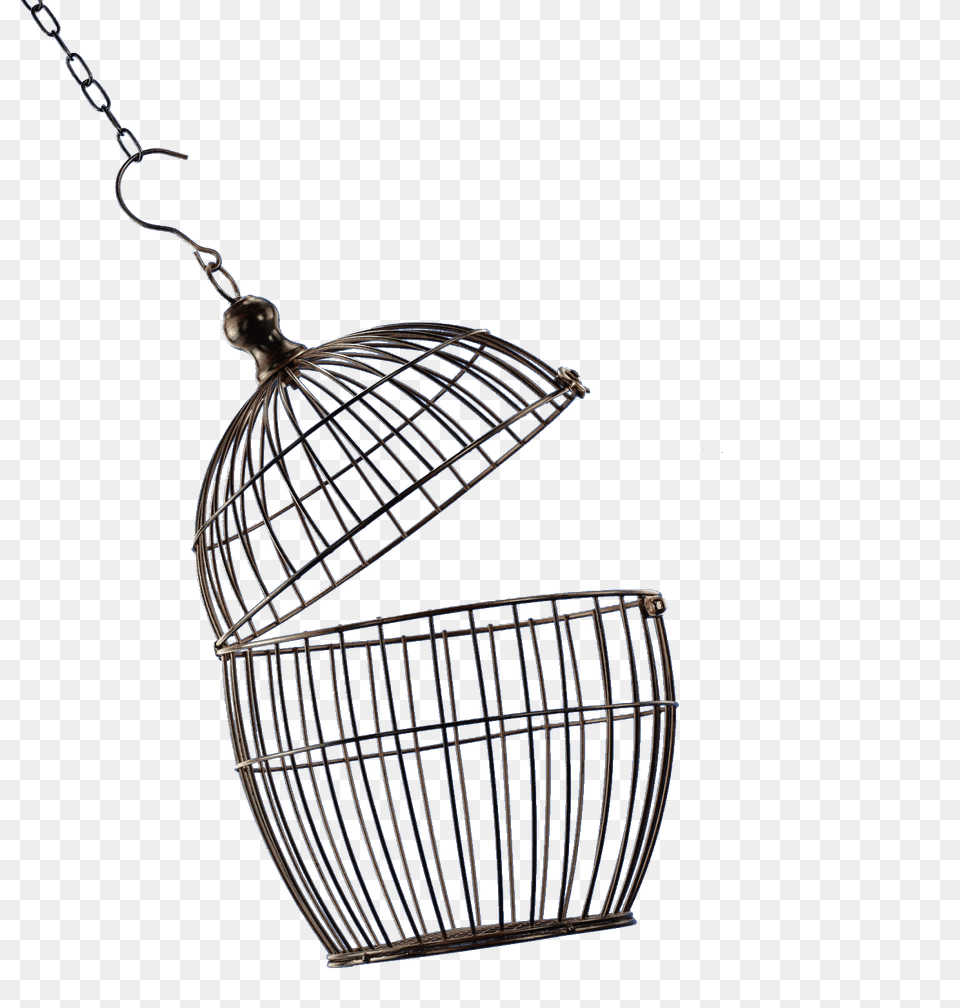 Cage Png Image