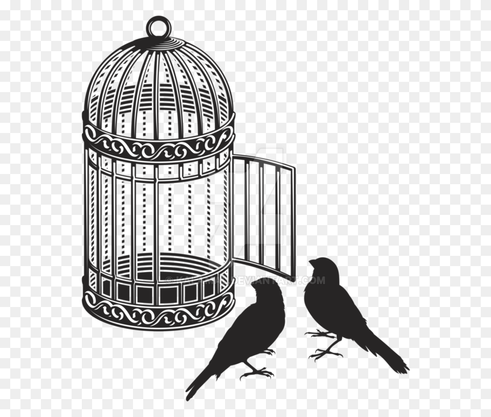 Cage, Animal, Bird Free Png