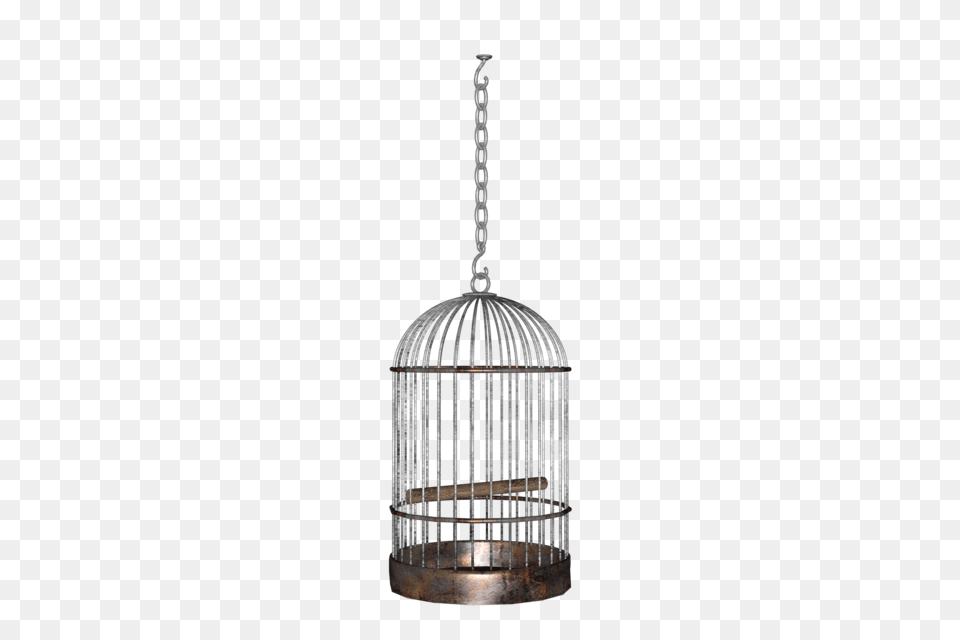 Cage, Chandelier, Lamp Png Image