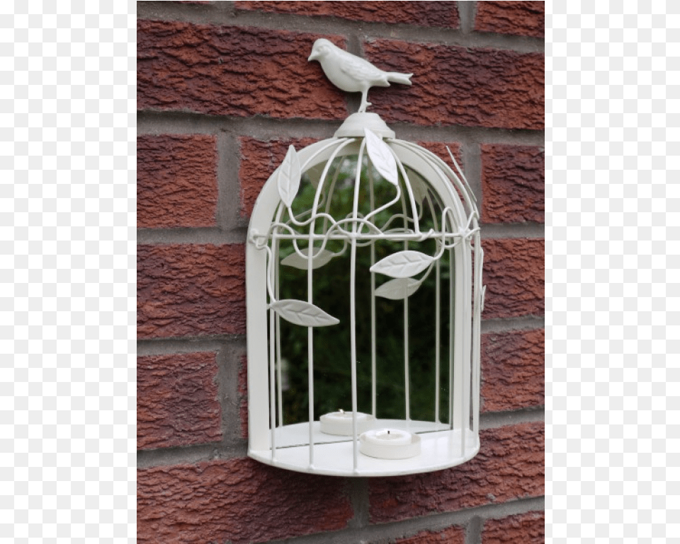 Cage, Animal, Bird, Candle Free Transparent Png
