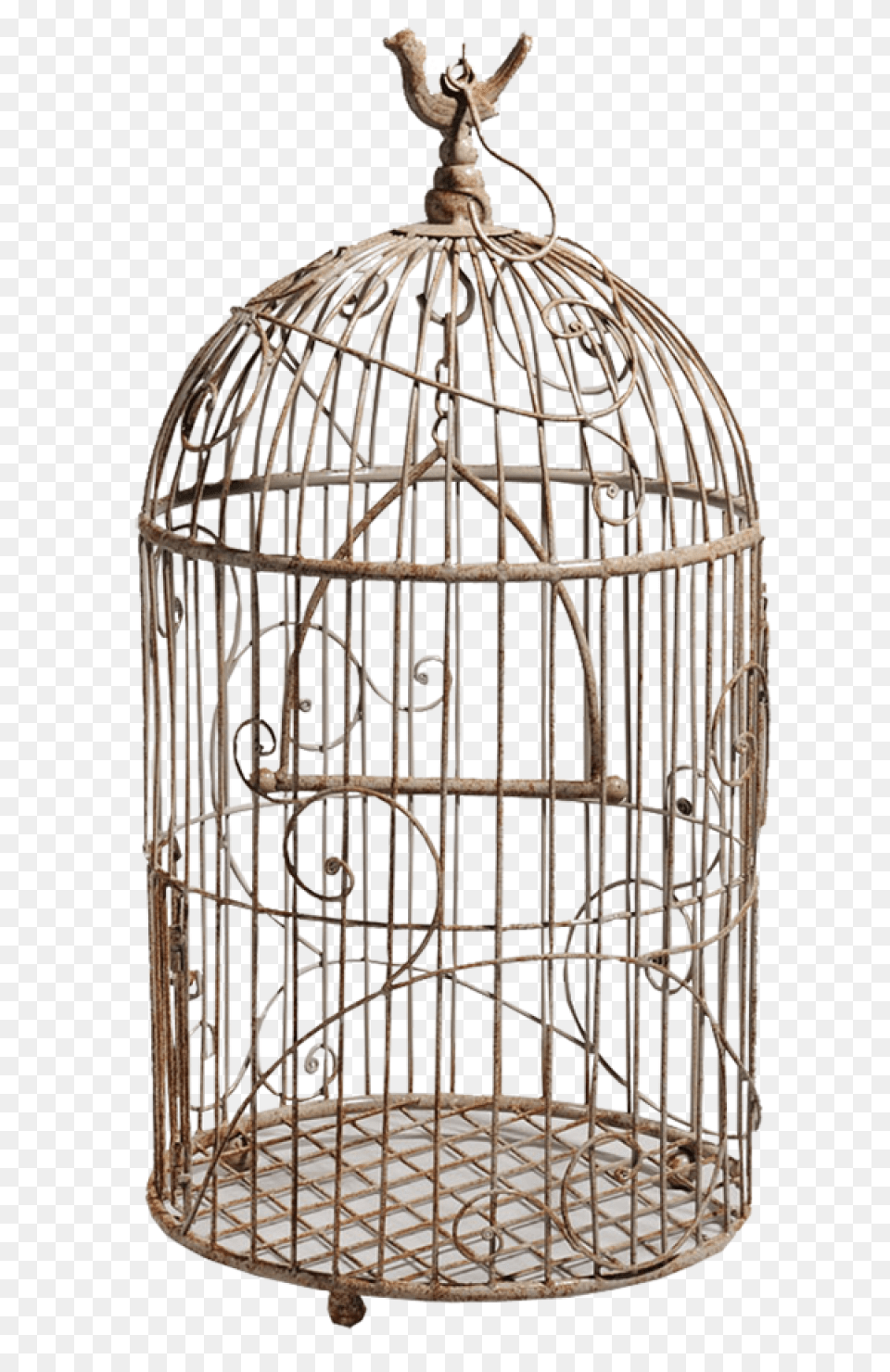 Cage Bird Bird Cage, Gate Png Image