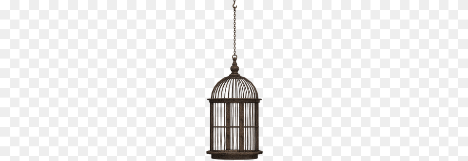 Cage Bird Cage Closed Container Braid Chai Hanging Bird Cage Black, Lamp Png