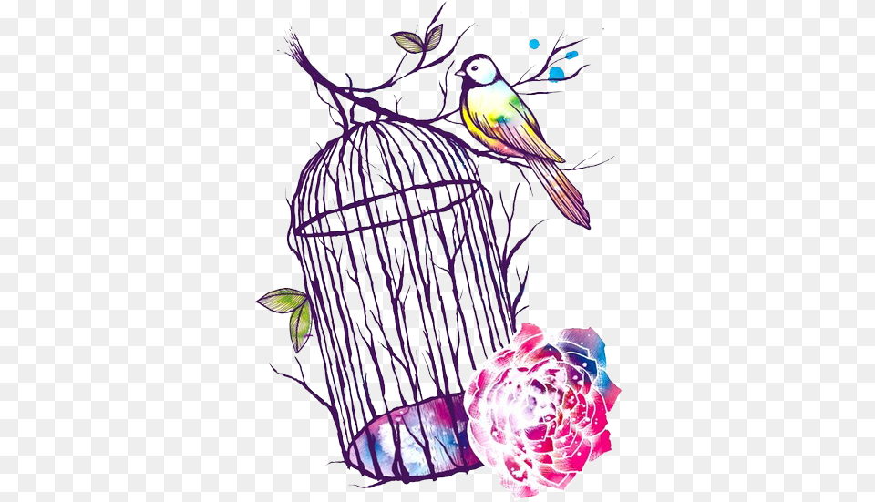 Cage Bird Flower Rose, Art, Animal, Finch Free Png