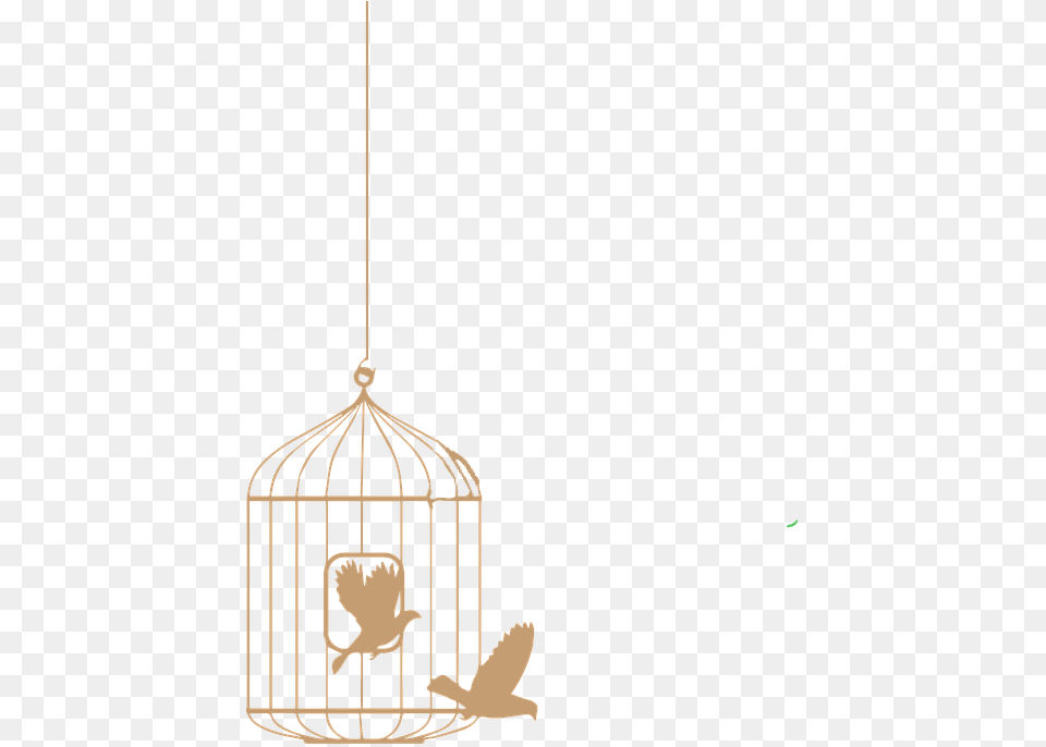 Cage Cagedbird Gold Birds Freetoedit Bird Png Image