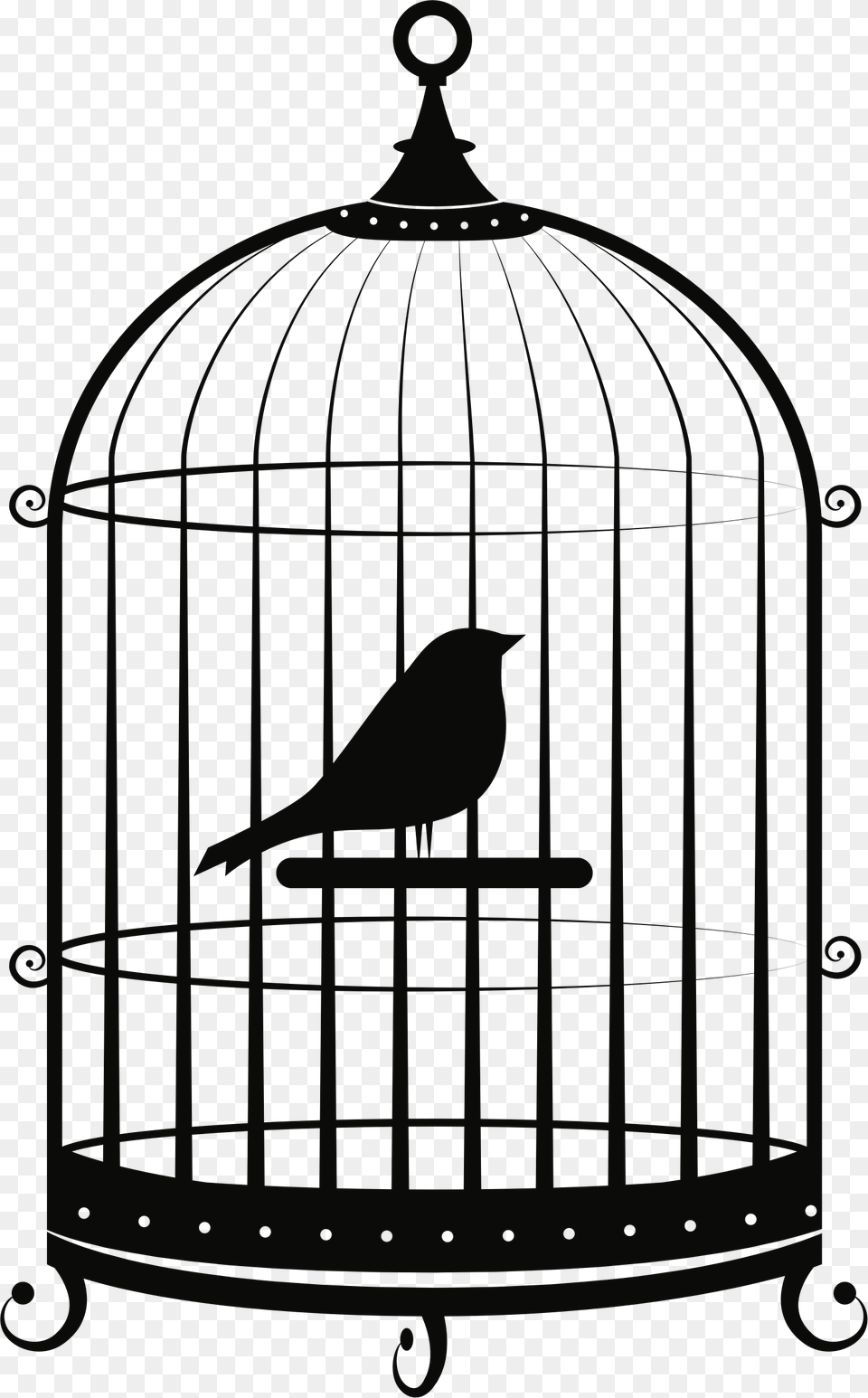 Cage Clip Freeuse Stock Bird In Cage Png Image