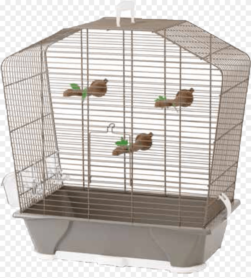 Cage D Oiseau Prix Png