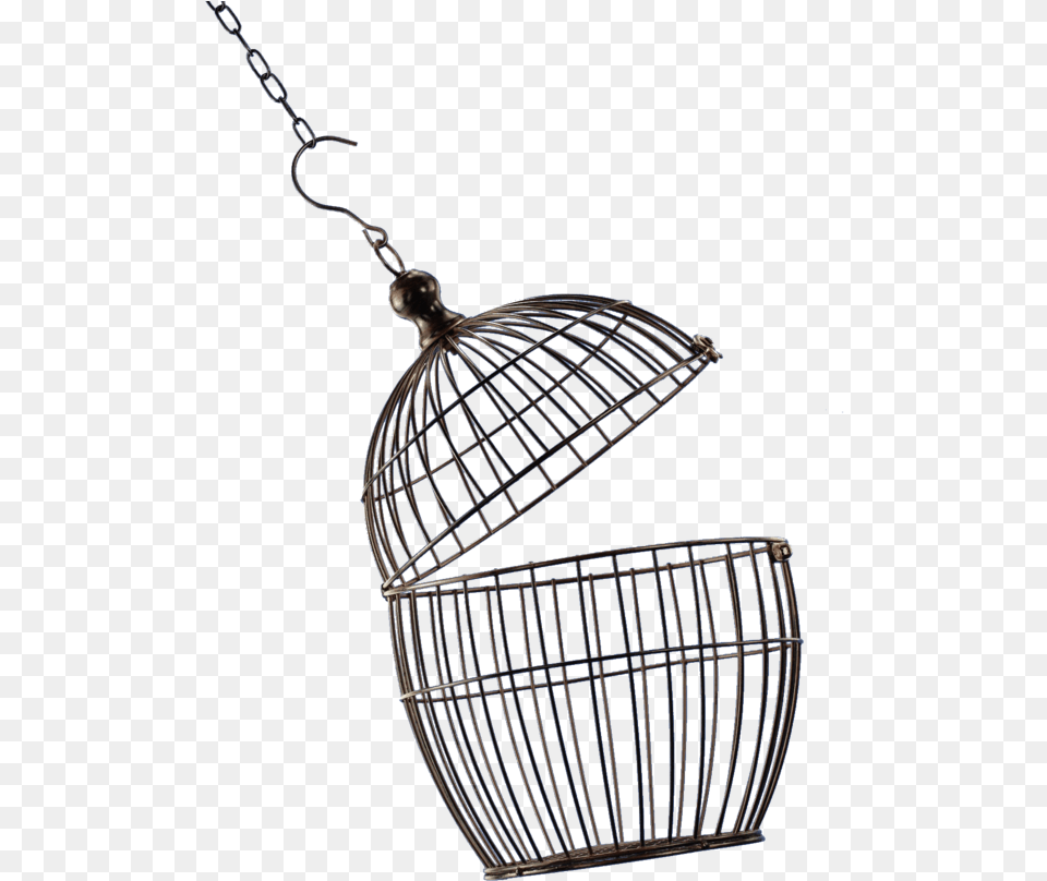 Cage Transparent Background Open Bird Cage, Accessories Free Png