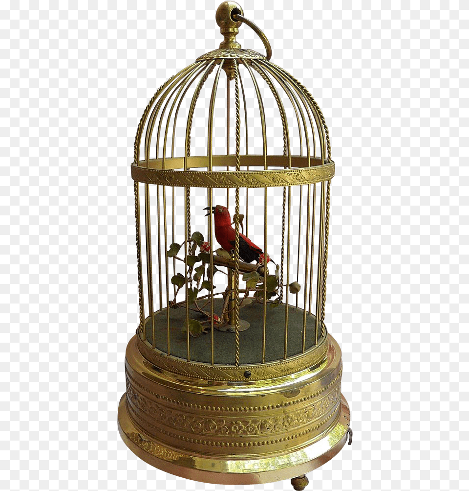 Cage Transparent Parrot Bird In Cage Transparent, Animal, Finch Free Png Download